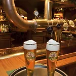 酒店 科诺贝尔斯多夫别墅酒店 3*